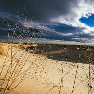 December on the Dunes, Monahans, TX by Marjorie Parker, Image 1.