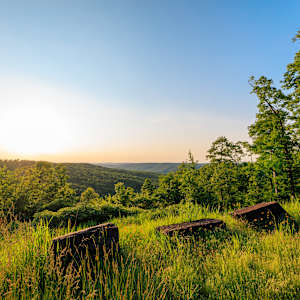 Golden Hour on the Edge of the Ozark National Forest, Arkansas by Marjorie Parker, Image 1.
