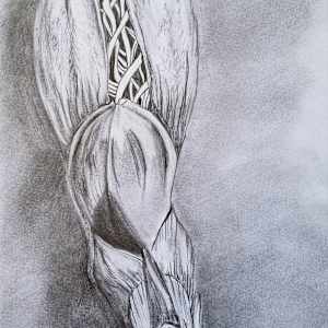 Horse Chestnut Bud by Lynn Cote, Image 9.
