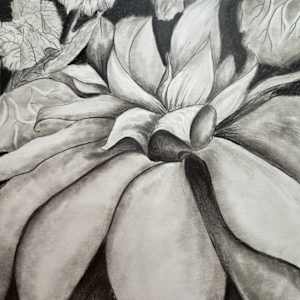 Absolutely Succulent! by Lynn Cote, Image 13.