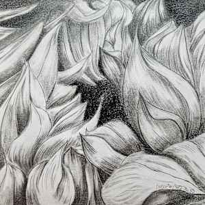 A Dramatic Sunflower is Born by Lynn Cote, Image 14.