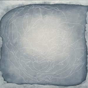 Sugar lift aglaophotis by Claire Kerr, Image 1.