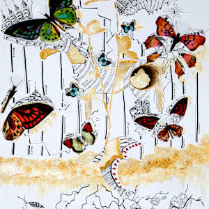 C - Butterflies by Sam Noten - Samantha V.P. Noten, Image 1.