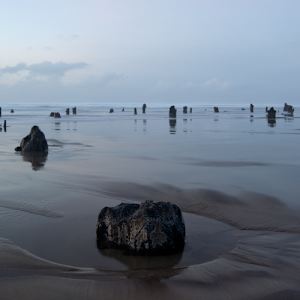 At Ease by Ellen Konar & Steve Goldband, Image 1.