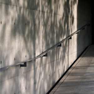 dappled by Ellen Konar & Steve Goldband, Image 1.