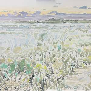 Calm and Chaos, Study No.1 by Ariel Davis, Image 1.