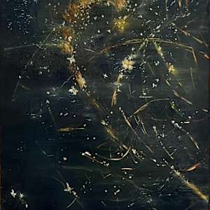 Fireflies by Hilde Hanssens, Image 1.