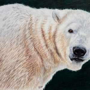 Oh, Hey… by Stephanie Henry, Image 1.