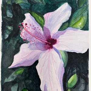 IMG_3877_lgid8j_8 by Stephanie Henry, Image 1.