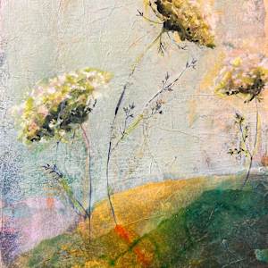 Mountain Yarrow by Danna Vanderford, Image 1.