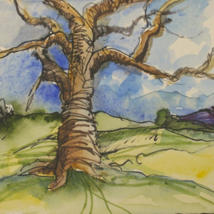 wise old tree by beth vendryes williams