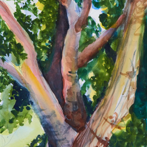 big old tree by beth vendryes williams