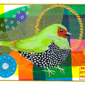 Green Twinspot by Brooke Horton, Image 1.