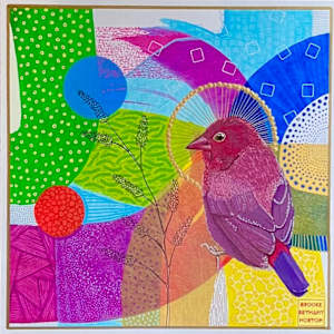 Red-Billed Firefinch by Brooke Horton, Image 1.