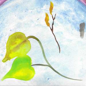 Cottonwood by Nomi Gallo, Image 1.
