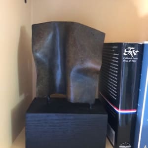 Torso 13 by Joe Gitterman