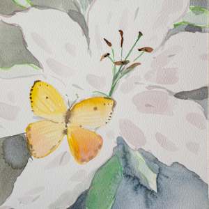 Lily and Butterfly studies by Elaine Chiu International Limited, Image 3.