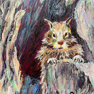 Curious Squirrel by Frances Krebs, Image 16.