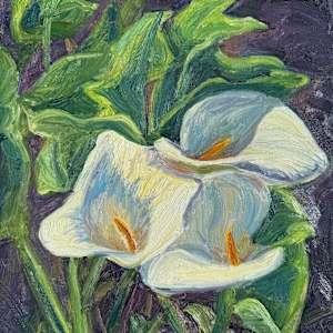 Calla Lillies in the Valley by Frances Krebs, Image 1.