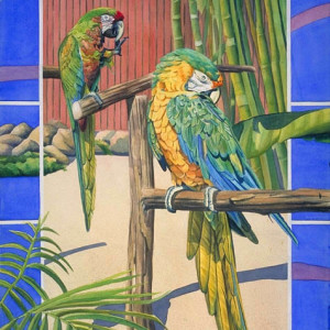 Catalina Parrots by Carol Cottone-Kolthoff