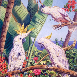 San Diego Cockatoos by Carol Cottone-Kolthoff