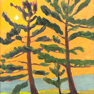 Sunset Pines by Judy Kelly