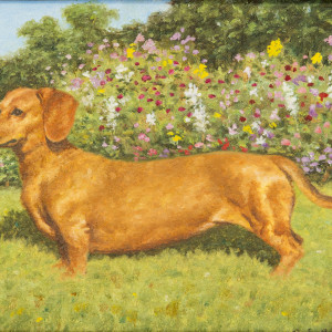 Daisy by Richard Stone Reeves