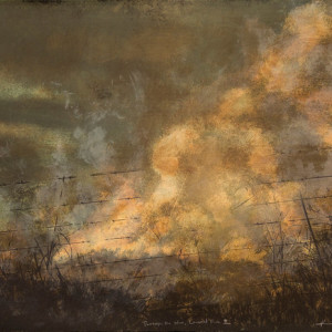 Through the Wire Lowveld Fire I by Kim Berman 