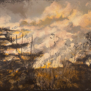 Through the Wire Lowveld Fire I by Kim Berman 