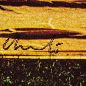 Untitled (Poster Wrapped Walkways, Loose Parks, Kansas City, Missouri) by Christo & Jeanne-Claude 