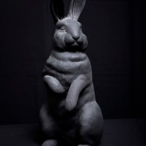 Bunny by Yoko Inoue