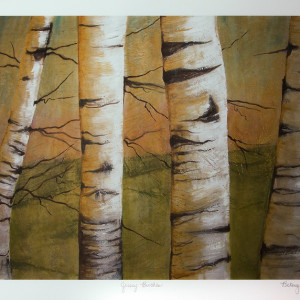 Jersey Birches by Betsey Regan