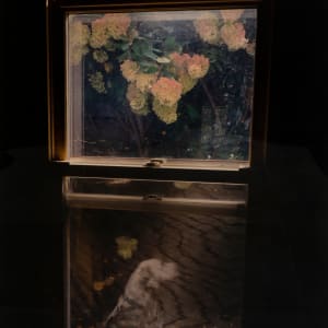 Astro's Reflection by Mary Kocol