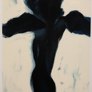 Black Iris #2 by Cynthia Nartonis