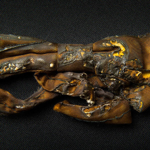 Burned Bow Tie by Lil Picard