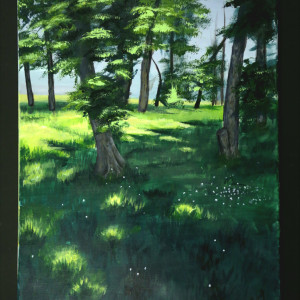 Shade by Susanah Outar