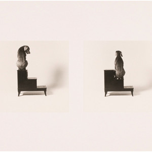 2nd and 3rd Steps by William Wegman