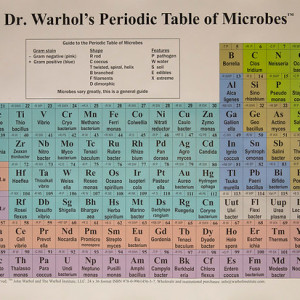 Dr. Warhol's Periodic Table of Microbes by John Warhol