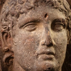 Untitled (Etruscan Terra-cotta Votive Head of Minerva) by Artist Unknown 