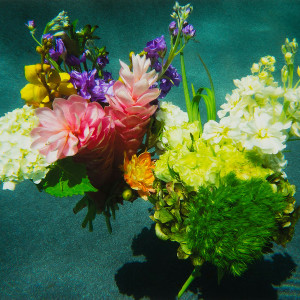 From the Flora Aquatilis Series Flora Aquatilis #7 by Kenda North