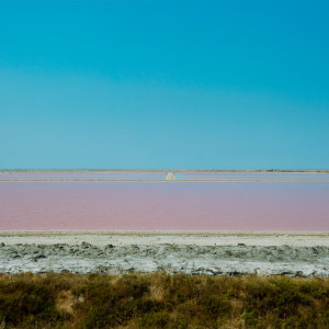 Salt Flat, France Carmargue by Barry Andersen