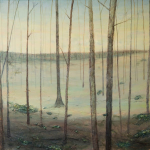 Wilderness by Barry Hazard