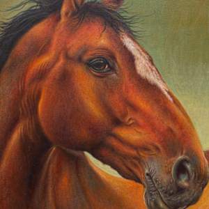 Caballo Mascilento by Klever Moscoso, Image 1.