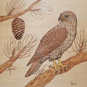 Hawk Hunter by Mara Wolf, Image 1.