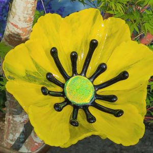 Garden Flower-Yellow Streaky with Black Stamens and Dichroic Center
