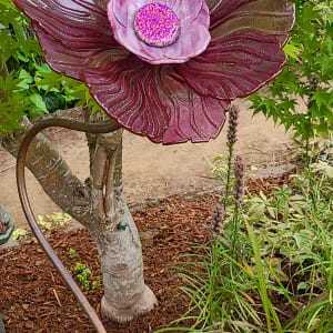 Garden Flower-Purplish/Pink Irid with Cranberry/White Streaky Center Bowl & Dichroic Center by Kathy Kollenburn 
