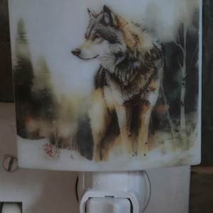 Nightlight-Wolf in Forest by Kathy Kollenburn 