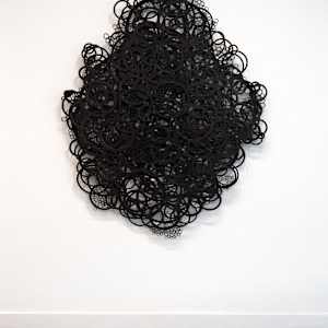 Algizian Veil by Jennifer Haley, Image 2.