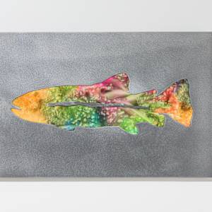 Upstream by Adam D'Illard, Image 1.