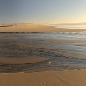 California Estuary at Gazos Creek State Beach 2 by Brechin "Miss B" Flournoy, Image 1.